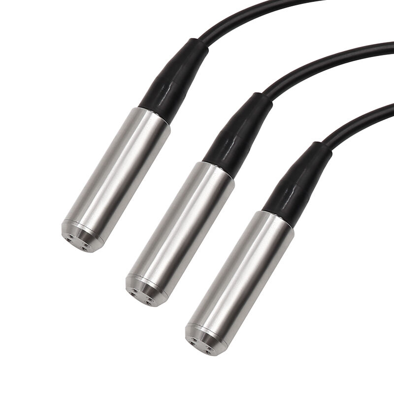 विस्फोट प्रूफ सबमर्सिबल जल स्तर सेंसर 4-20mA/0-10V/0-3.3V RS485 आउटपुट