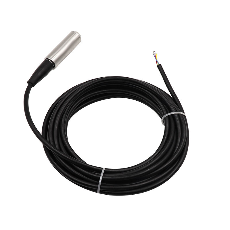 विस्फोट प्रूफ सबमर्सिबल जल स्तर सेंसर 4-20mA/0-10V/0-3.3V RS485 आउटपुट